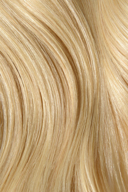 light ash blonde #22 shade snippet